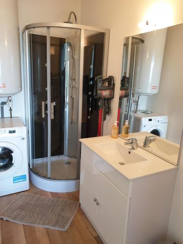 une salle de bain avec douche et lavabo et une machine à laver dans l'établissement Appart’ terrasse vue exceptionnelle 1er étage, à Montbéliard