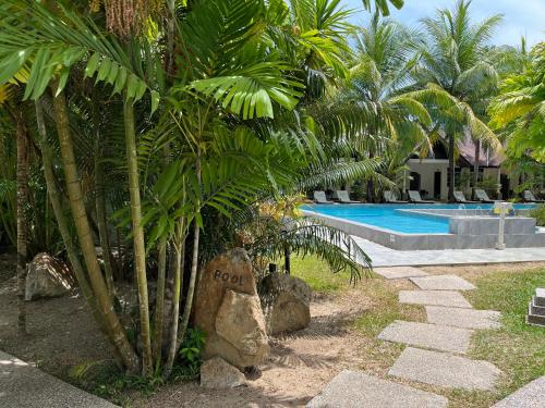 a palm tree next to a swimming pool at White Lodge in Pantai Cenang