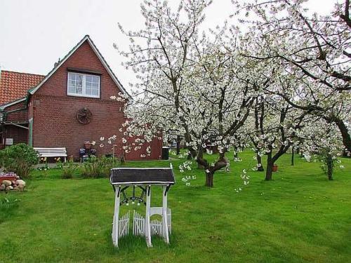 a picnic table in a yard with a flowering tree at Knubberhaus Das Ferienhaus im Kirs in Steinkirchen