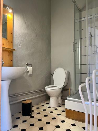 a bathroom with a toilet and a sink and a shower at Auberge Le Glacier Bleu in Mont-Dauphin