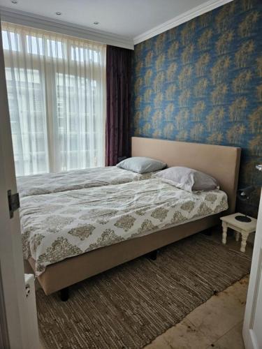 ウェイク・アーン・ゼーにあるAppartement Villa Eva Rosaのベッドルーム1室(青い壁のベッド1台、窓付)