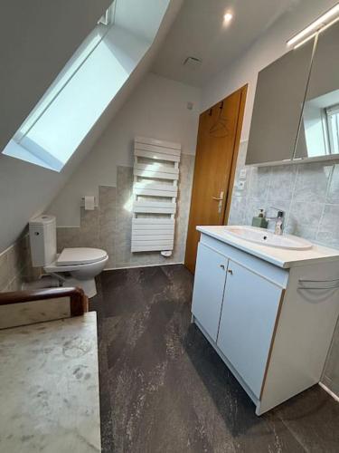 une salle de bain avec un lavabo et des toilettes dans l'établissement Gîte de la Fontaine Charmante maison au cœur de Beblenheim - Route des vins, à Beblenheim