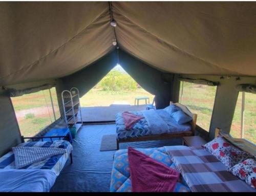 une tente avec des canapés et des lits dans une chambre dans l'établissement kubwa mara safari lodge tent camp, à Sekenani