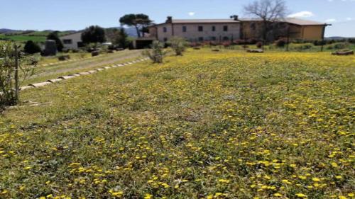 Taman di luar Vecchio Casale Quercetino