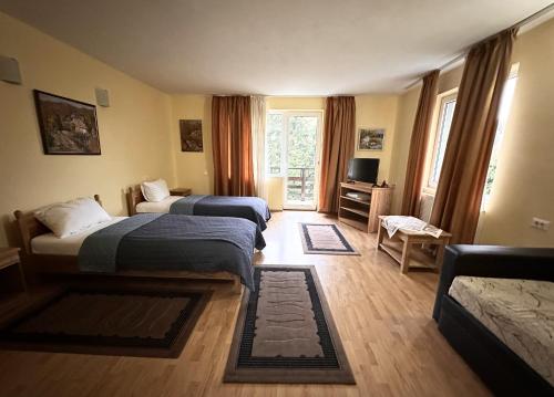 a hotel room with two beds and a television at Pensiunea Limpedea in Baia-Sprie