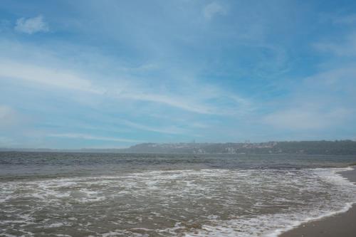 a view of the ocean with the shoreline at Treebo Sunheads in Panaji