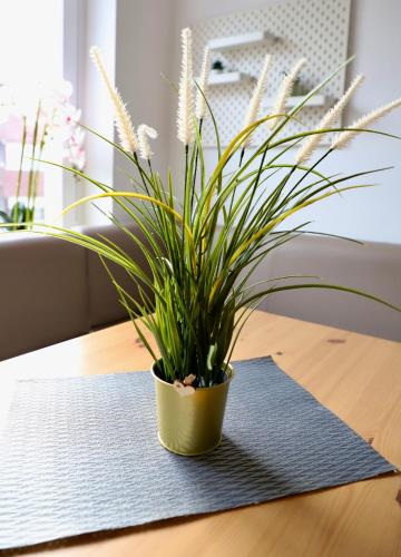 a potted plant sitting on top of a table at Angela Apartments in Würzburg