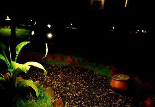 a night view of a garden with a plant at Green View in Thekkady