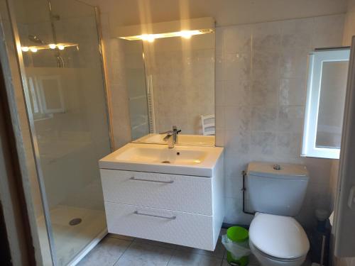 une salle de bain avec toilettes, lavabo et douche dans l'établissement Le nid de goélands, à Fécamp