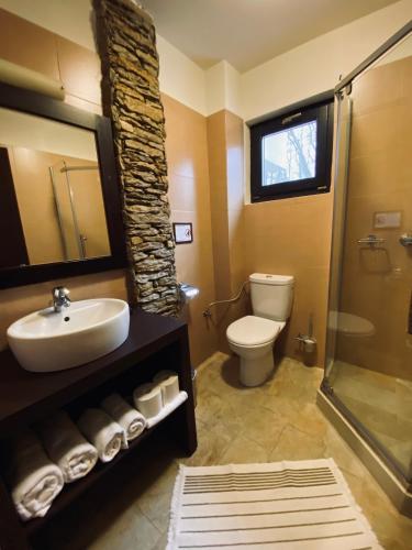 a bathroom with a sink and a toilet and a shower at Cetatuia in Măgura