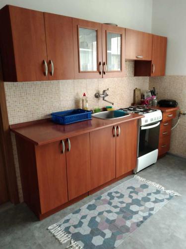 a kitchen with wooden cabinets and a sink and a stove at Ubytování ve Frýdku in Frýdek-Místek