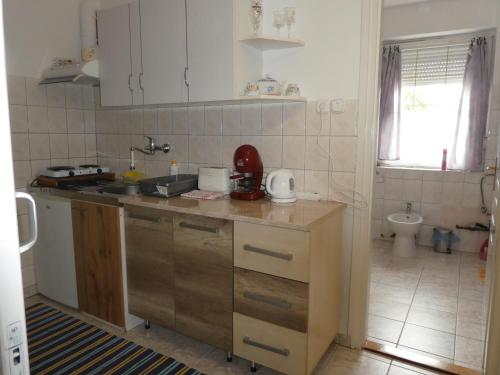 uma cozinha com um lavatório e uma bancada em Halasi Szallashely em Hajdúszoboszló