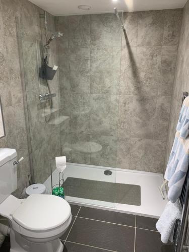 a bathroom with a shower and a toilet and a tub at Brand new annexe on border of the Southdowns. in Waterlooville