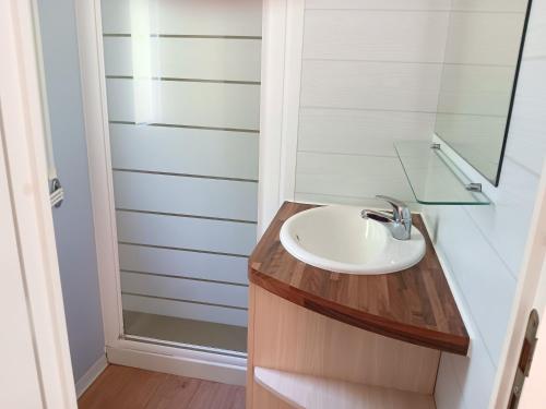 ein Badezimmer mit Waschbecken und Dusche in der Unterkunft Bungalow charmant avec piscine partagée à Saint-Chéron in Saint-Chéron