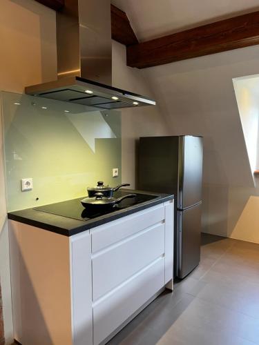 una cucina con piano cottura e frigorifero di Hofgut Holzmuhle a Germersheim
