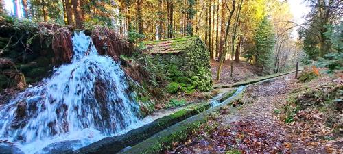 a waterfall in the middle of a forest at Matos Casas de Campo in Cabeceiras de Basto