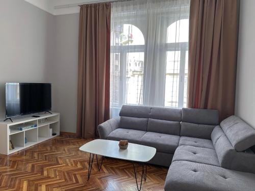 a living room with a couch and a tv at Sunny Castle Apartment in Budapest