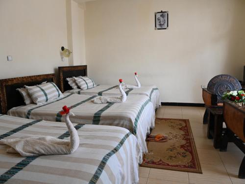 three swans are sitting on two beds in a room at Honey Guest House in Lalībela