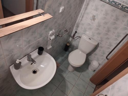 a bathroom with a white sink and a toilet at Gospodarstwo Agroturystyczne Agroletnica in Świdnica