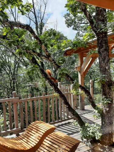 une branche d'arbre avec banc sur une terrasse en bois dans l'établissement Cabanes du Hérisson, cabanes perchées de standing avec spa, à Bonlieu