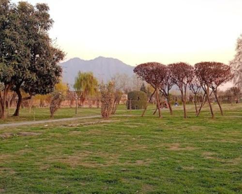 um campo de relva com árvores e um caminho em Flora Cottage , Srinagar em Srinagar