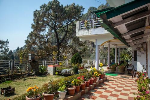 un jardín con flores en macetas en un patio en Nature's Vibe Homestay - Nainital - Kainchi Dham en Nainital
