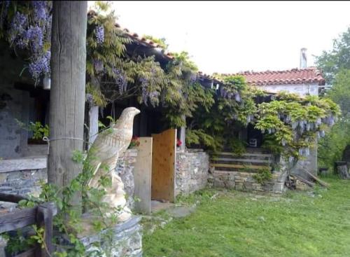 Masseria di Rusciano的住宿－Aquilaverde，坐在房子旁边的杆上的鸟