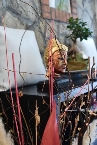 a close up of a plant with a statue in the background at Hotel Okinawa in Rimini