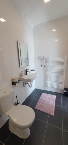 een badkamer met een wit toilet en een wastafel bij Pension Valentina in Mühlau