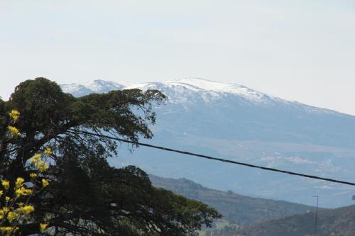 a snow covered mountain in the distance with a tree at Quartos em vivenda serra da Estrela in Celorico da Beira