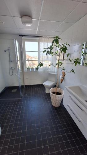 a bathroom with a toilet and a potted plant in it at Kadrina St. Catharine's Guesthouse in Kadrina