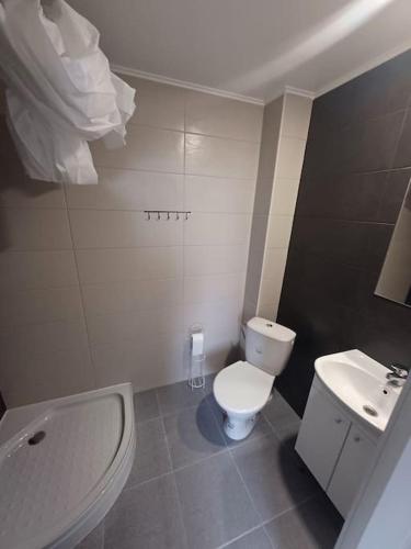 a small bathroom with a toilet and a sink at Nadmar hostel apartment, no.1 in Kuressaare