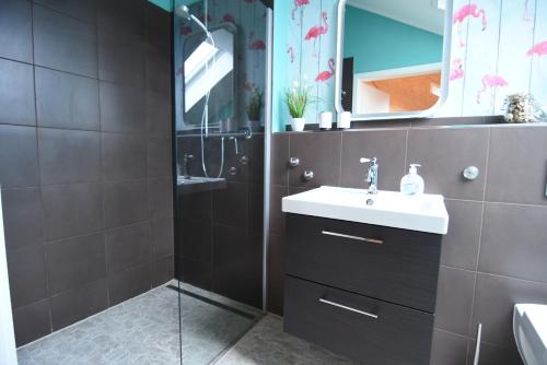 uma casa de banho com um lavatório e um chuveiro em Ferienwohnung Nr 4 - b50457 em Wunstorf