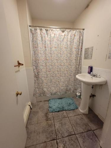 baño con lavabo y cortina de ducha en GUEST HOUSE NEAR DOWTOWN BOSTON, en Boston