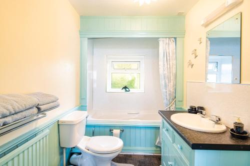 a bathroom with a toilet and a sink and a window at Upper Cottage Drefach Felindre in Cwm-pengraig