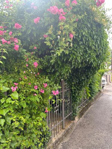 Fotografie z fotogalerie ubytování Apartman Lili v destinaci Cetinje