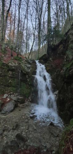 a waterfall on the side of a hill with trees at Park Hotel Bellavista in Gambarie dʼAspromonte