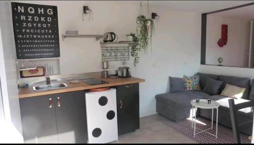 une cuisine avec un évier et un canapé dans une chambre dans l'établissement Studio indépendant terrasse entre mer et collines, à Marseille