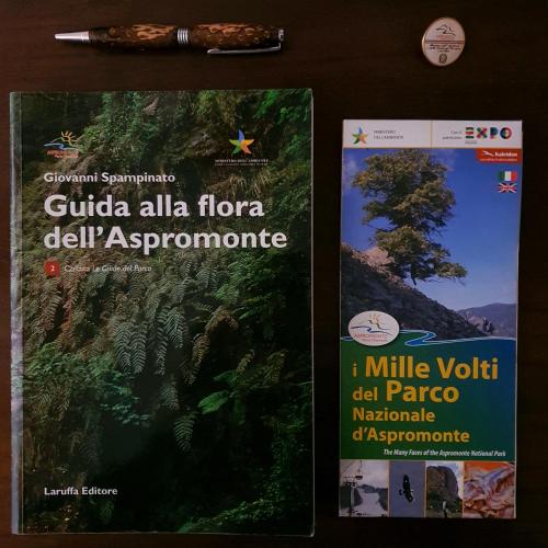 a book and a pen next to a picture of a tree at Park Hotel Bellavista in Gambarie dʼAspromonte