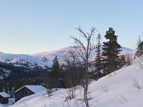 Norefjell, ny flott hytte til leie през зимата