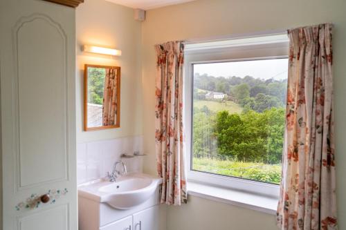 a bathroom with a sink and a window at Lower Cottage Newcastle Emlyn in Cwm-pengraig