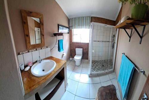 - une vue de tête sur une salle de bains pourvue d'un lavabo et d'une douche dans l'établissement Mongoose Haven, à Marloth Park
