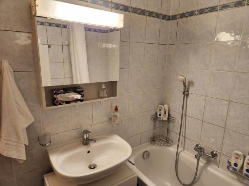 a bathroom with a sink and a shower and a tub at Room in Shared Apartment Geneva in Geneva