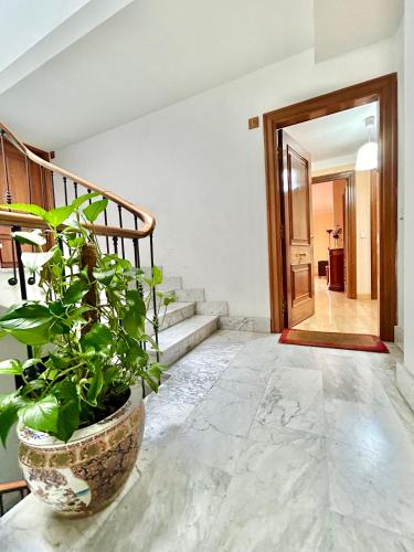 Vivienda Rectorado 2