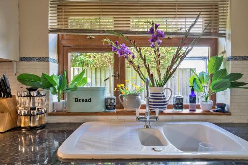 um balcão de cozinha com um lavatório e algumas plantas em Finest Retreats - Bracken em Dormans Land
