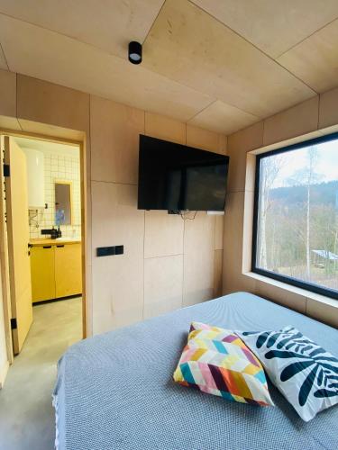 Televisyen dan/atau pusat hiburan di Mount hotel