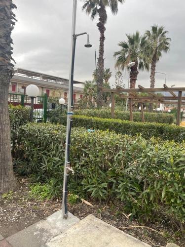 a street light in a park with palm trees at EtnaMare petite maison in Mascali