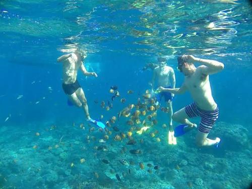 three men are swimming in the water with fish at Sakti OceanView Nusa Penida in Nusa Penida