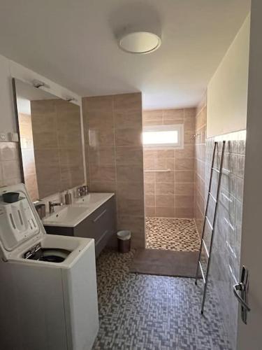 une salle de bain avec une douche, des toilettes et un lavabo dans l'établissement La Madone, à Cadillac-en-Fronsadais