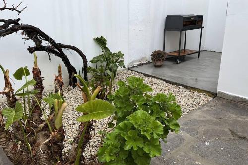 a garden with plants and a tv on a table at céntrica y 20 m de la playa in Puerto Madryn